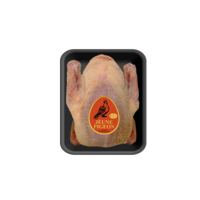 1 pigeonneau FR (300/400 g) ,congelé