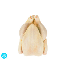 Poulet jaune Halal congelé, France