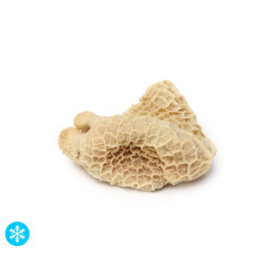 Tripe de bœuf de Nouvelle-Zélande